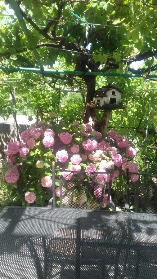 Guesthouse Familija Tariba Supetarska Draga Εξωτερικό φωτογραφία